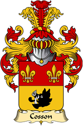 French Family Coat of Arms (v.23) for Cosson