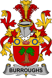 Irish Coat of Arms for Burroughs