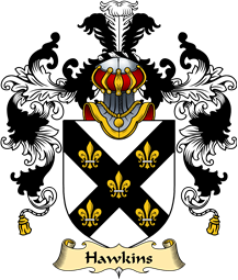 English Family Coat of Arms (v.25) Hawkins