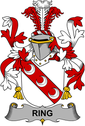 Irish Coat of Arms for Ring or O