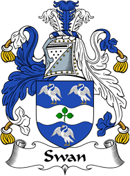 Irish Coat of Arms for Swan