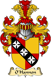 Irish Family Coat of Arms (v.23) for O