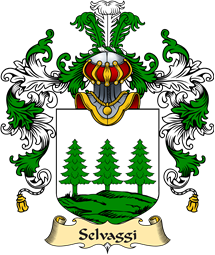 Italian Family Coat of Arms (v.25a) Selvaggi