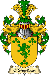 Irish Family Coat of Arms (v.23) for O