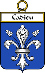 French Coat of Arms Badge for Cadieu or Cadiou