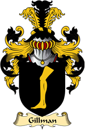 Irish Family Coat of Arms (v.23) for Gillman