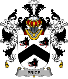 Irish Family Coat of Arms (v.25b) Price