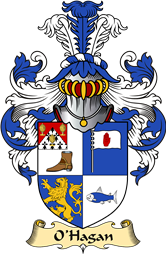 Irish Family Coat of Arms (v.23) for O