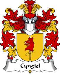 Polish Coat of Arms for Cyngiel