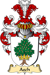 v.23 Coat of Family Arms from Germany for Asch