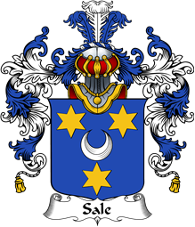Italian Family Coat of Arms (v.25b) Sale