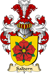 v.23 Coat of Family Arms from Germany for Saldern