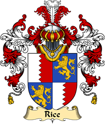 Irish Family Coat of Arms (v.25a) Rice