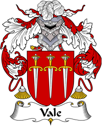 Portuguese Coat of Arms for Vale