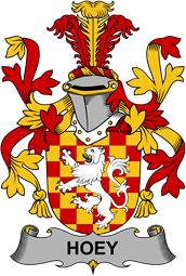 Irish Coat of Arms for Hoey or O