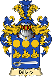French Family Coat of Arms (v.23) for Billard