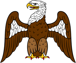 Eagle Displayed Perched or Standing