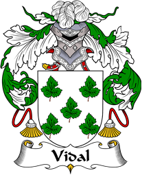 Portuguese Coat of Arms for Vidal