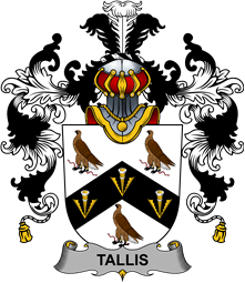 Irish Family Coat of Arms (v.25b) Tallis