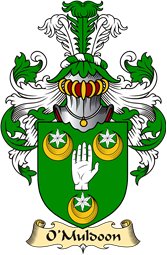 Irish Family Coat of Arms (v.23) for O