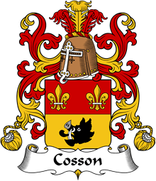 Coat of Arms from France for Cosson