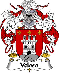 Portuguese Coat of Arms for Veloso