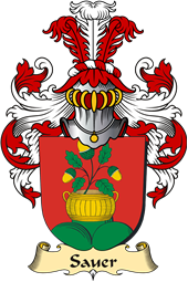 v.23 Coat of Family Arms from Germany for Sauer