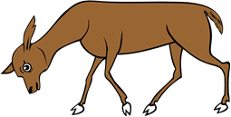 Hind Grazing