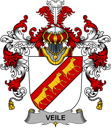 Irish Family Coat of Arms (v.25b) Veile or Veale