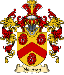 Irish Family Coat of Arms (v.25a) Norman