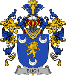 Irish Family Coat of Arms (v.25b) Bligh