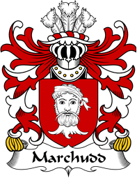 Welsh Coat of Arms for Marchudd (AP CYNAN)