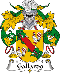 Spanish Coat of Arms for Gallardo