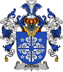 Irish Family Coat of Arms (v.25b) Atkins