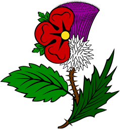 Rose and Thistle Conjoined