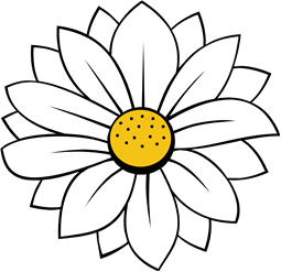 Daisy Flower