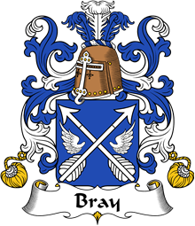 Coat of Arms from France for Bray