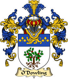 Irish Family Coat of Arms (v.25a) O