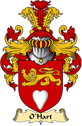 Irish Family Coat of Arms (v.23) for O