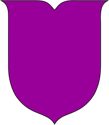 Shield 3