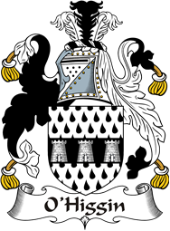 Irish Coat of Arms for O