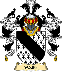 English Family Coat of Arms (v.25) Wallis I