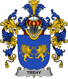 Irish Family Coat of Arms (v.25b) Trehy or O