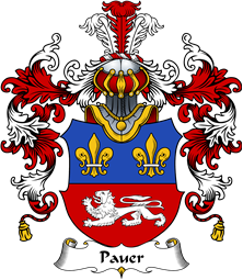 German Wappen Coat of Arms (v.25) Pauer