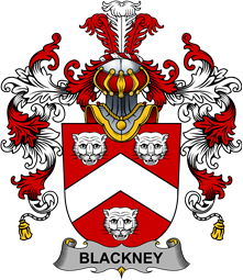 Irish Family Coat of Arms (v.25b) Blackney