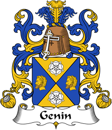 Coat of Arms from France for Genin