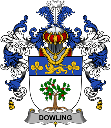 Irish Family Coat of Arms (v.25b) Dowling or O