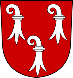 Swiss Coat of Arms for Angelin (d