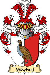 v.23 Coat of Family Arms from Germany for Wachtel