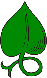 Linden Leaf Stem Embowed-Fitched